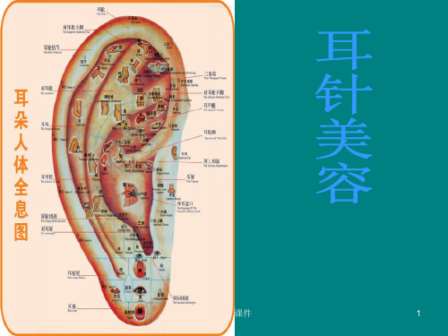 中医耳穴ppt课件