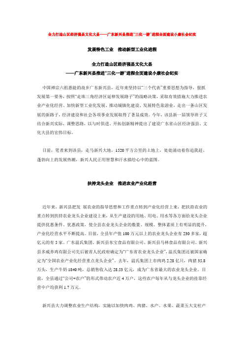 全力打造山区经济强县文化大县——广东新兴县推进“三化一游”进.