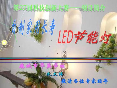 自制家用长寿LED节能灯--项目简介