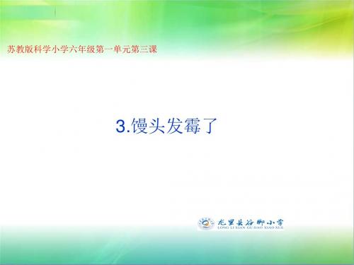 苏教版六年级上册科学课件《馒头发霉了》