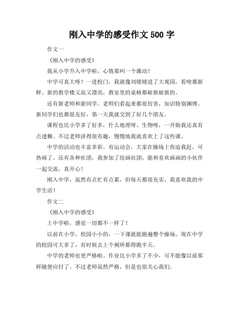 刚入中学的感受作文500字