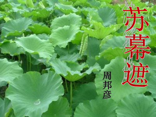 人教版高中语文选修“中国古代诗歌散文欣赏”《苏幕遮》 课件27张