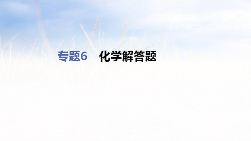 2019年浙江省杭州市中考科学二轮复习专题课件(化学部分):专题6 化学解答题 (共34张PPT)