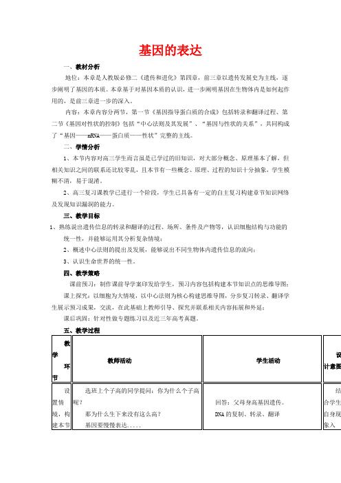 高中生物 第四章 基因的表达教案 新人教版必修2-新人教版高二必修2生物教案