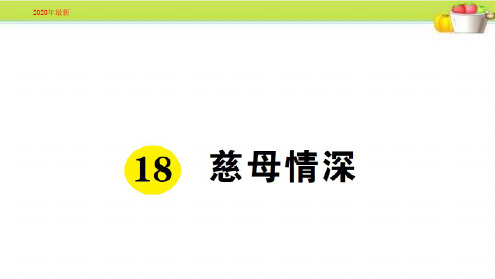 人教部编本五年级语文上册第六单元全套课件