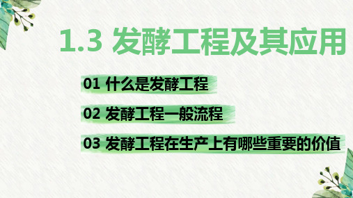 发酵工程及其应用课件-高二下学期生物人教版选择性必修3