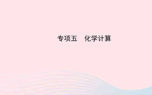 中考化学全程复习 专项五 化学计算课件 新人教版