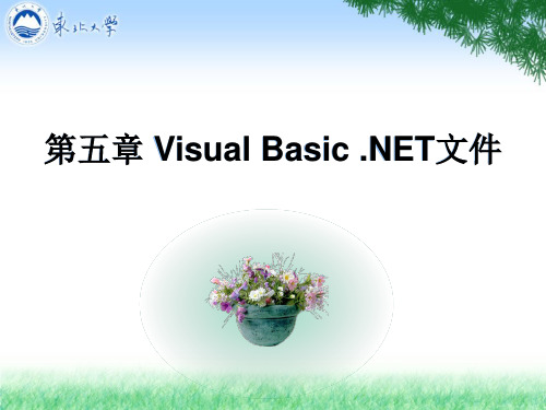 程序设计第五章VisualBasic文件资料