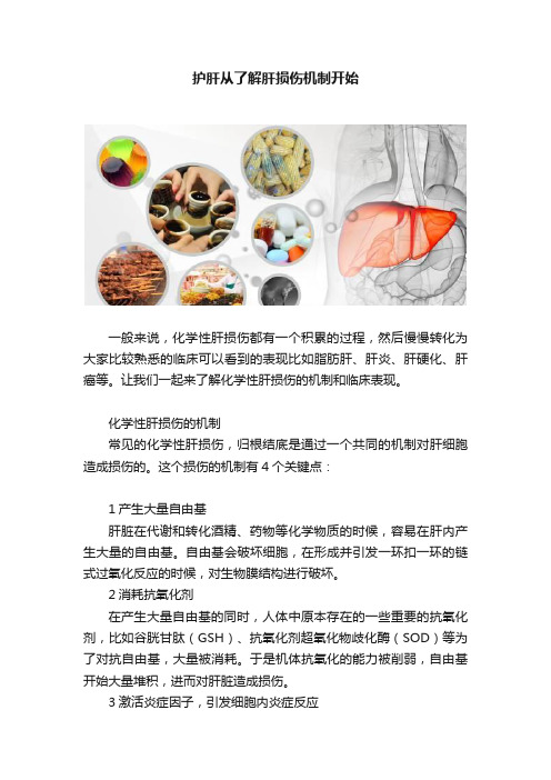 护肝从了解肝损伤机制开始