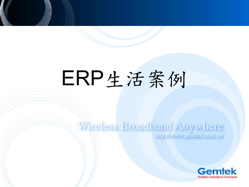 ERP 生活案例(Gemtek)