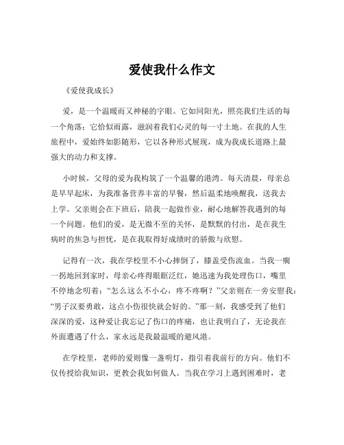 爱使我什么作文