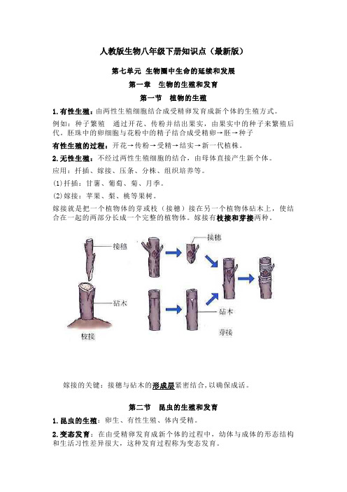 人教版生物八年级下册知识点(最新版)