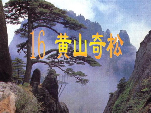 《黄山奇松》PPT课件 (2)