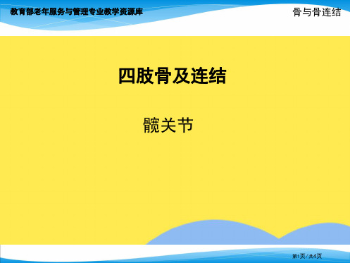 四肢骨及其连结--髋关节教学课件(共4张PPT)