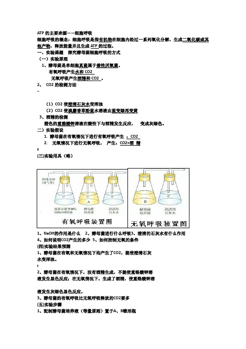 光合作用及呼吸作用知识点总结