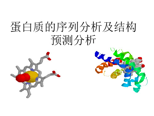 蛋白质的序列分析及结构预测分析