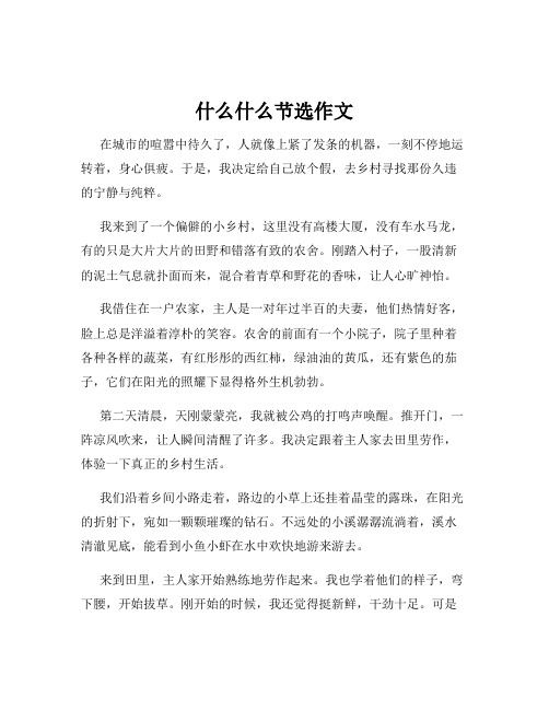 什么什么节选作文