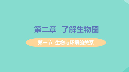 七年级生物上册-了解生物圈第一节生物与环境的关系教学课件新版新人教版