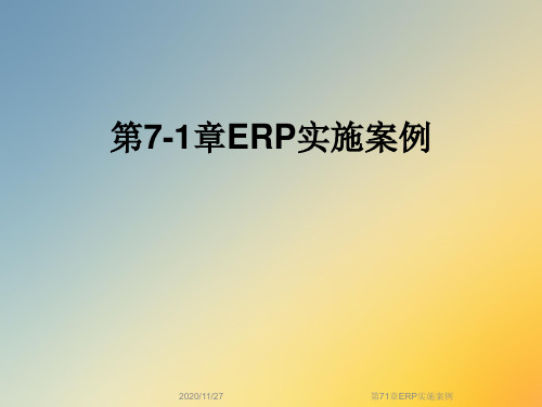 第71章ERP实施案例