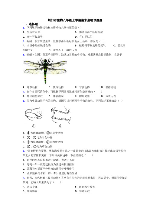 荆门市生物八年级上学期期末生物试题题