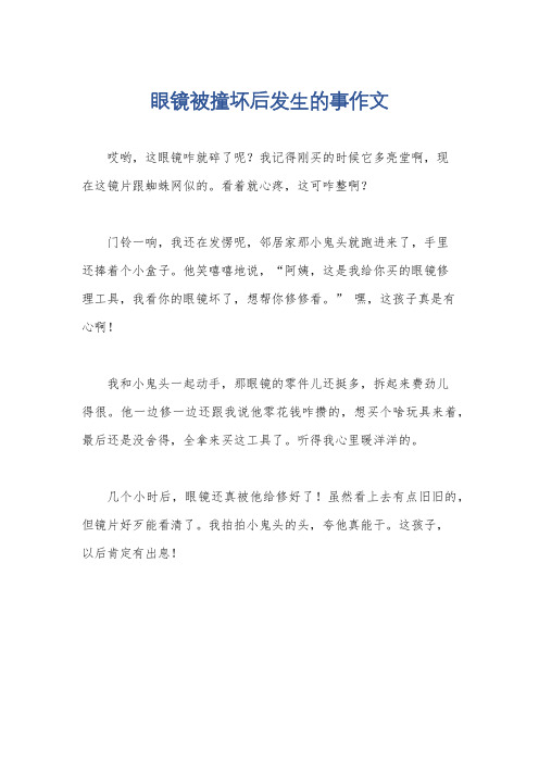 眼镜被撞坏后发生的事作文