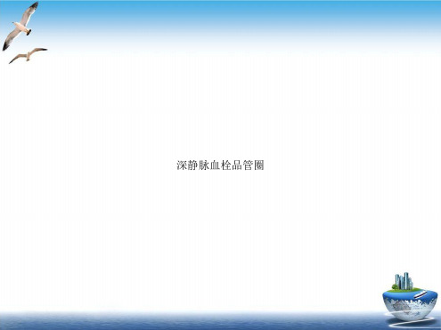 深静脉血栓品管圈PPT课件