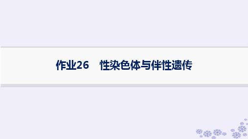 浙江专版2025届高考生物一轮总复习第4单元遗传的基本规律及应用作业26性染色体与伴性遗传课件浙科版