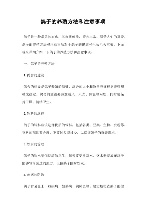 鸽子的养殖方法和注意事项