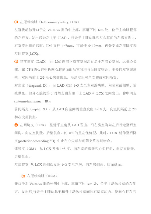 CTA血管解剖资料