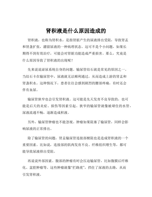 肾积液是什么原因造成的