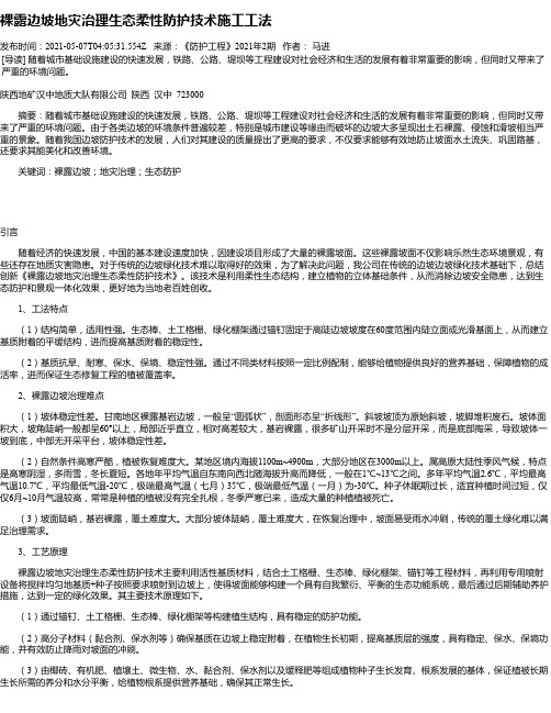 裸露边坡地灾治理生态柔性防护技术施工工法