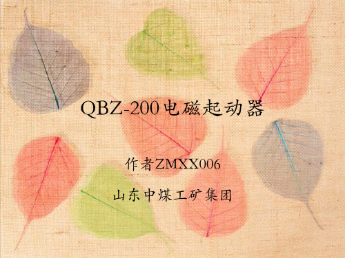 QBZ-200电磁起动器