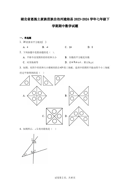 湖北省恩施土家族苗族自治州建始县2023-2024学年七年级下学期期中数学试题