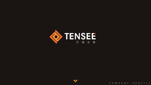 TENSEE——简介2017更新版