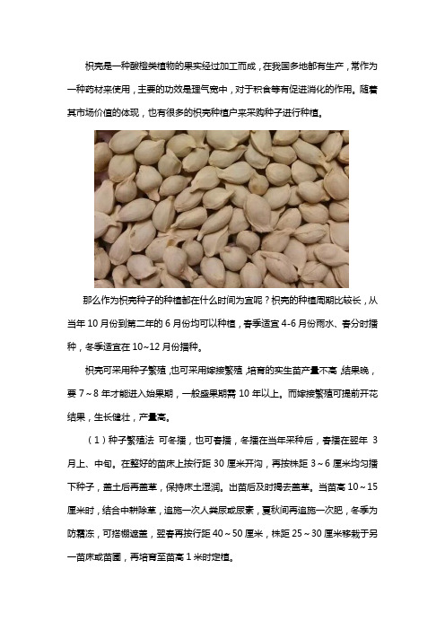 枳壳种子一般什么时候播种