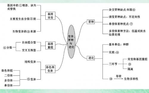 2019版高考生物二轮复习专题七变异、育种与进化课件