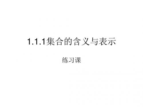 1.1.1集合的含义与表示练习题