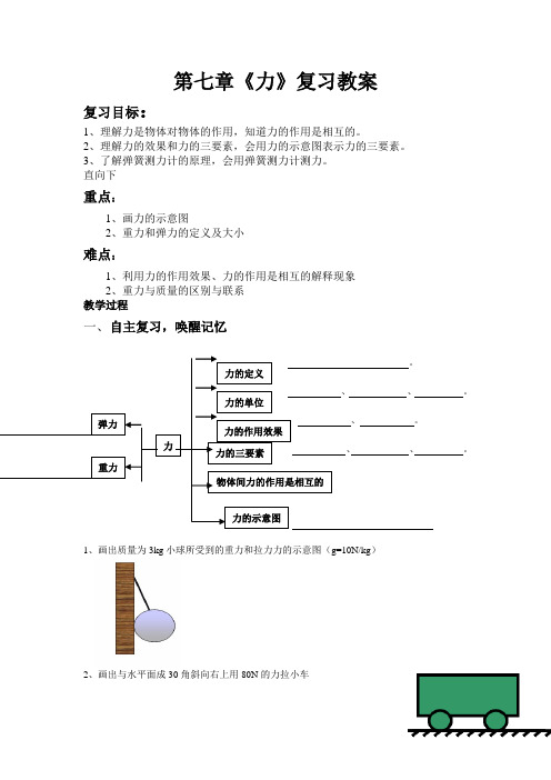 新教科版初中物理八年级下册《第七章  力 本章复习》公开课_2