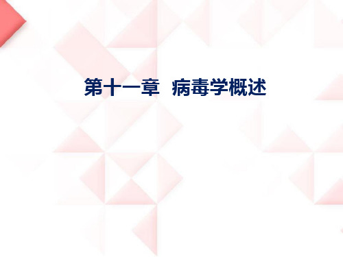 病毒学概述ppt