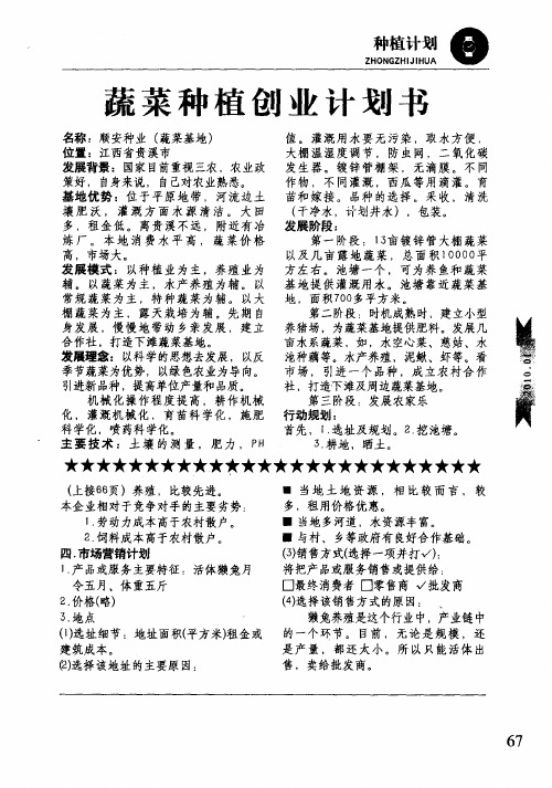 蔬菜种植创业计划书