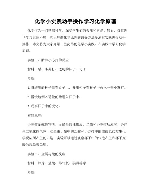 化学小实践动手操作学习化学原理