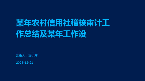 某年农村信用社稽核审计工作总结及某年工作设