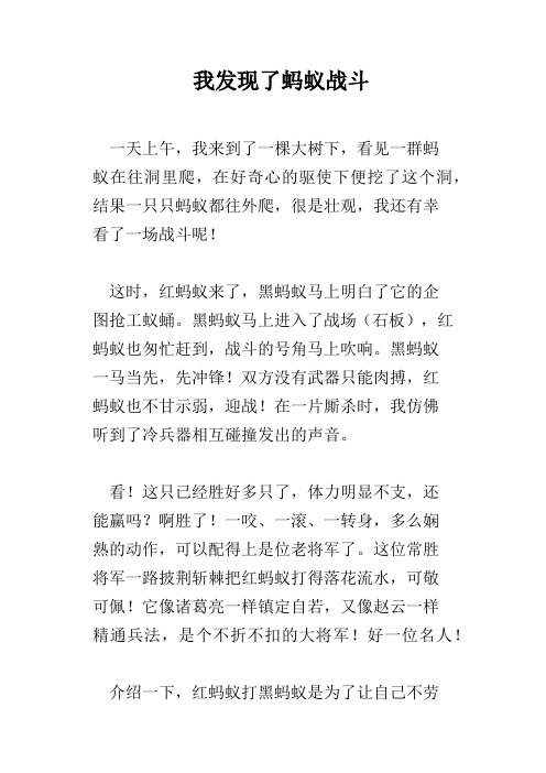 我发现了蚂蚁战斗