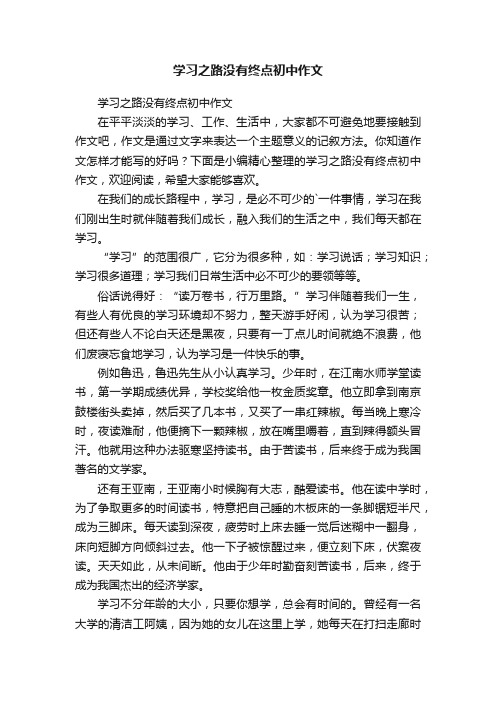 学习之路没有终点初中作文