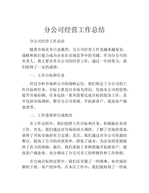 分公司经营工作总结