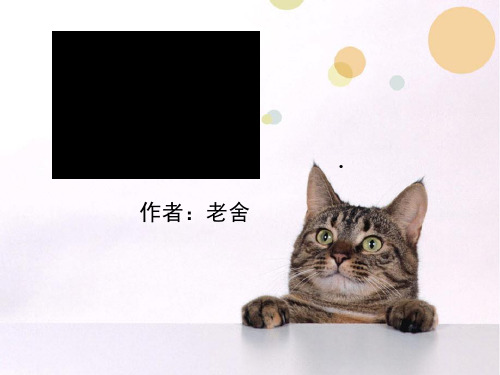 《猫》PPT课件下载 (共33张PPT)