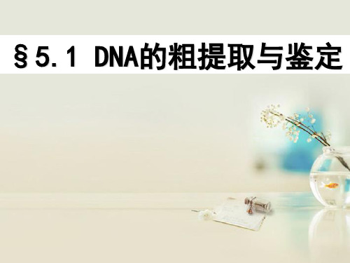 高中生物《第五章 第一节 DNA的粗提取与鉴定》课件 新人教版选修1