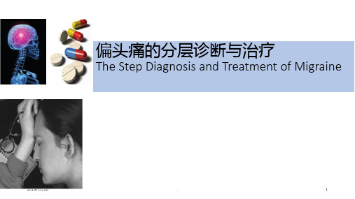 偏头痛分层诊断与治疗PPT课件