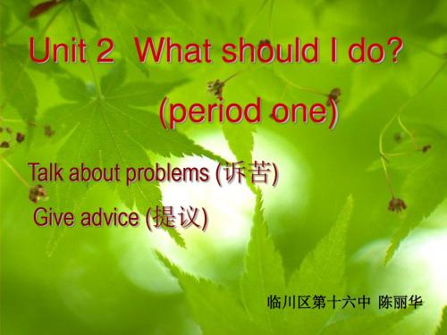 新目标版八年级下Unit2 What should I do ？PPT课件