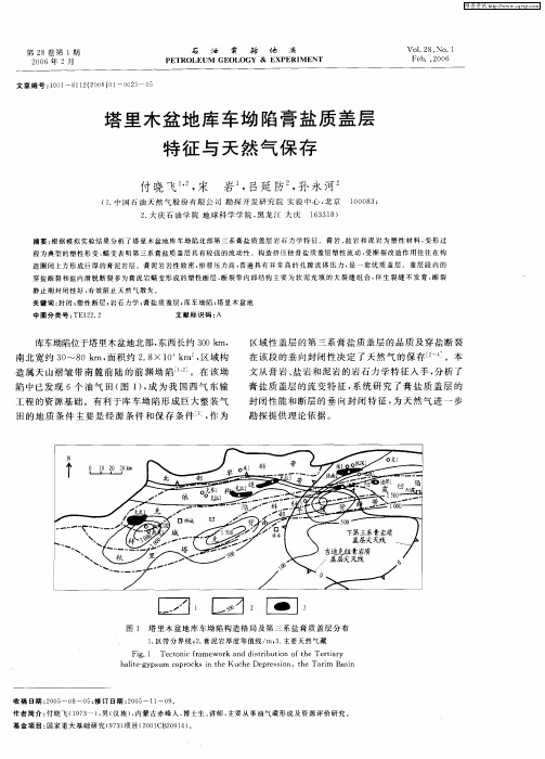 塔里木盆地库车坳陷膏盐质盖层特征与天然气保存
